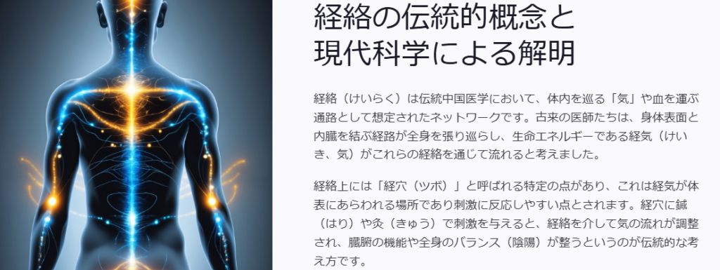 経絡(けいらく)は伝統中国医学において、体内を巡る「気」や血を運ぶ通路として想定されたネットワークです。古来の医師たちは、身体表面と内臓を結ぶ経路が全身を張り巡らし、生命エネルギーである経気(けいき、気)がこれらの経絡を通じて流れると考えました。