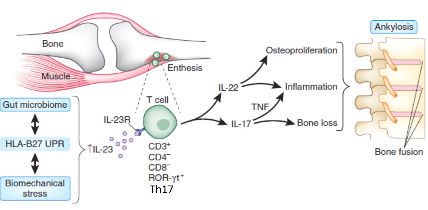 ストレス軽減テクニック