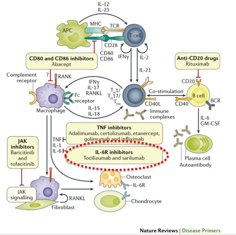 アクテムラ(トシリズマブ)の効果や使い分け、注意点 - 豊田土橋リウマチクリニック|愛知県の関節リウマチ治療専門外来(専門医)