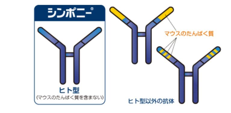 関節リウマチ治療におけるシムジア®の特徴と使い分け – 豊田土橋リウマチクリニック|愛知県の関節リウマチ治療専門外来(専門医)|名古屋から30分